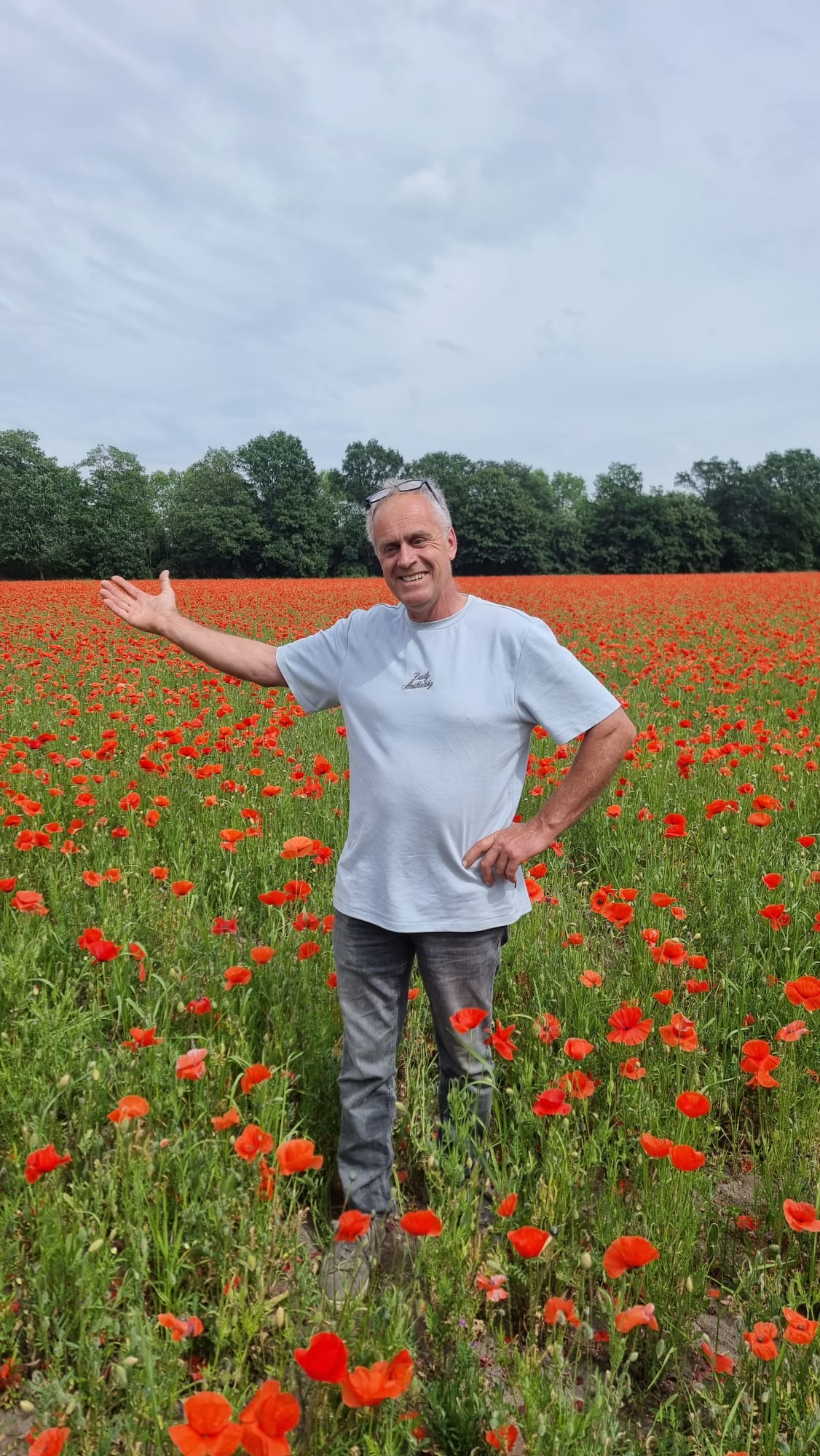 85.000 m2 klaprozen